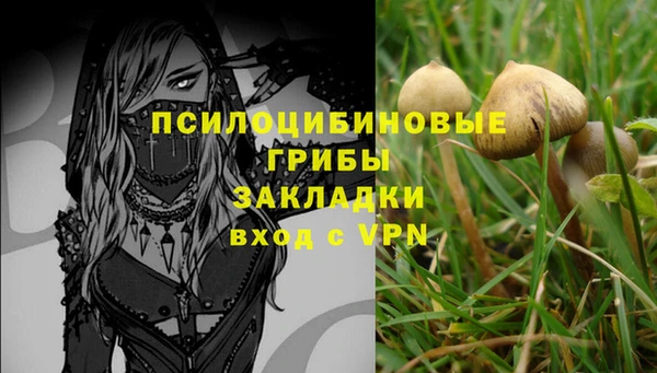 дурь Абдулино