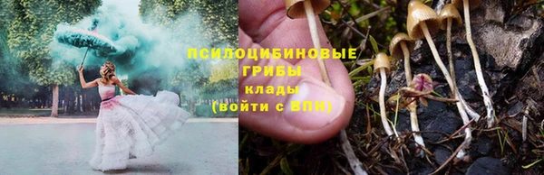 дурь Абдулино