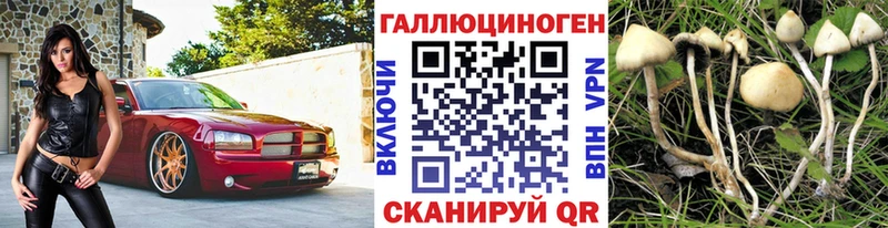 Галлюциногенные грибы мицелий  Черногорск 